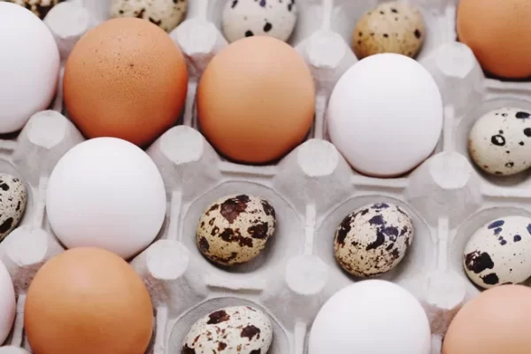 Which kind of "egg cholesterol" is the highest?